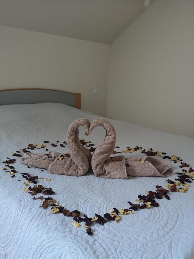 Apartamentai Su Dziakuzi クライペダ エクステリア 写真